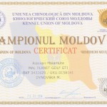 Чемпион Молдовы